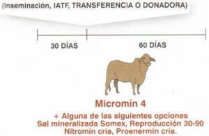 art 3 nutrición mineral y las biotecnologías reproductivas