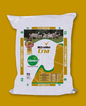 Web NitrominC productos premium para el ganado,suplementos,sales minerales,nutrición
